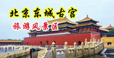 大男人用大鸡巴操老女人逼的视频中国北京-东城古宫旅游风景区